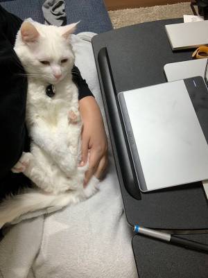 「仕事が遅い理由がこれ」　公開された３枚の写真に「許す！」の声相次ぐ