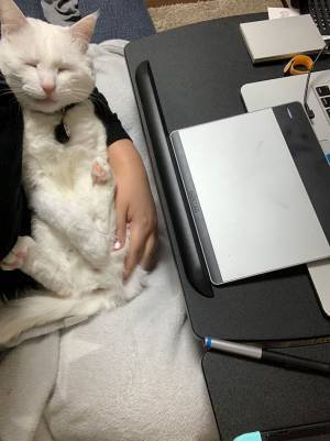 「仕事が遅い理由がこれ」　公開された３枚の写真に「許す！」の声相次ぐ