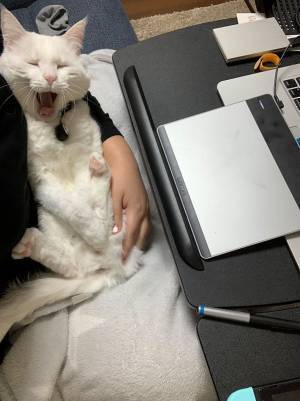 「仕事が遅い理由がこれ」　公開された３枚の写真に「許す！」の声相次ぐ