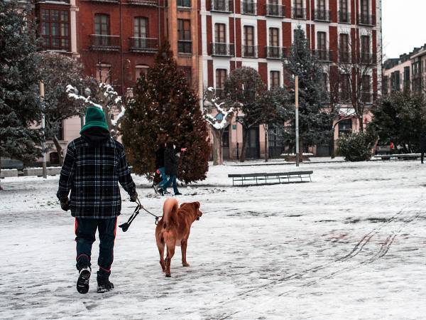 雪の積もる街中でお天気中継をしていると…？　かわいすぎる放送事故に反響