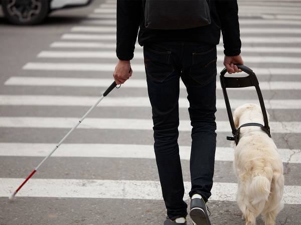 全盲の女性が明かした『見える世界の色』　「知らなかった」「勉強になる」と反響