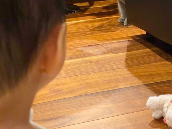 ０歳の娘と猫が初対面　決定的な瞬間をとらえた１枚に「最高にかわいい」の声