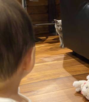 ０歳の娘と猫が初対面　決定的な瞬間をとらえた１枚に「最高にかわいい」の声