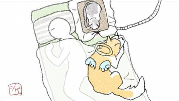 お彼岸の日に起きた、切なくも心温まる出来事　「もっといてくれていいのに」