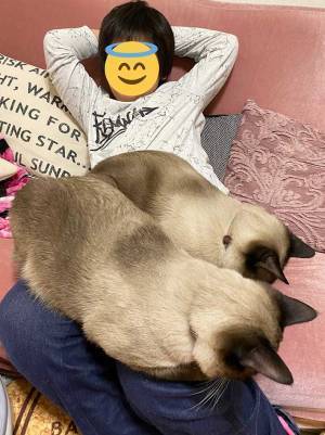 ソファでくつろいでいた息子が、突然「詰んだ…」　その理由がこちらです