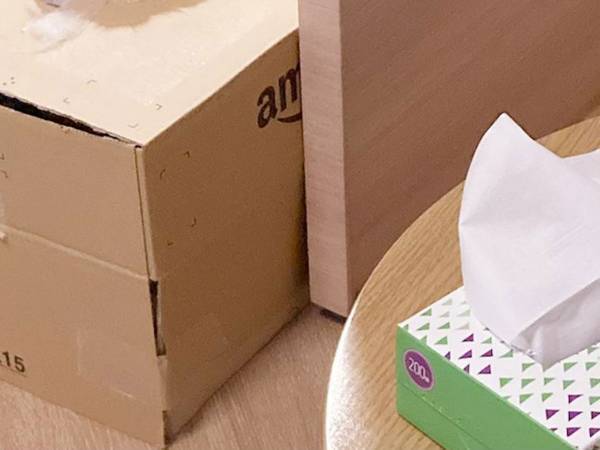 これが『シロネコヤマト』か…　段ボールに入った猫の姿にキュンです！