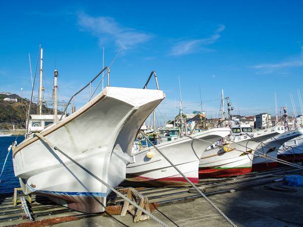 「笑っちゃいけないのに…」　密漁グループ摘発のニュースに視聴者がざわついた