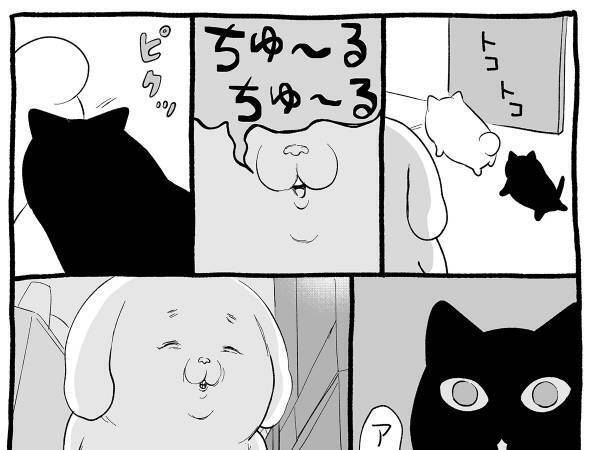 ちゅ～る愛が過ぎる猫　リアクションに猫の飼い主たちから「我が家も」