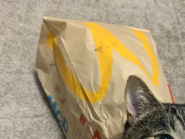 「どこで買える？」「プライスレス」　マクドナルドの紙袋に入っていたのは…