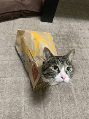 「どこで買える？」「プライスレス」　マクドナルドの紙袋に入っていたのは…