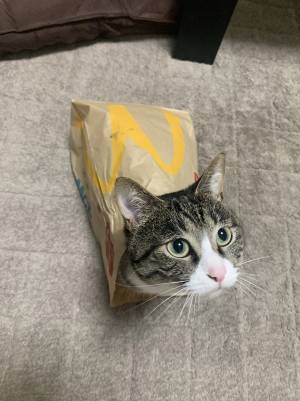 「どこで買える？」「プライスレス」　マクドナルドの紙袋に入っていたのは…