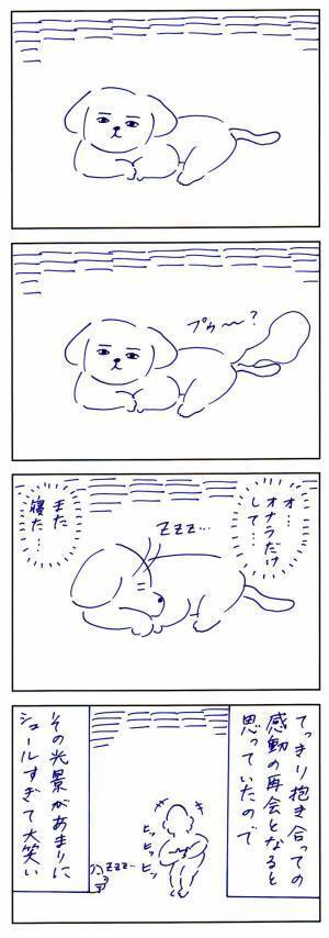 仕事で落ち込む男性に愛犬が？　まさかの反応に「大笑いした」「最高！」