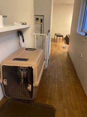 帰宅すると出迎えてくれるはずの犬が、ハウスから出てこない理由に「やめてもらいたい」