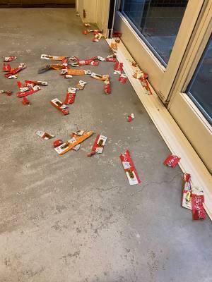 帰宅すると出迎えてくれるはずの犬が、ハウスから出てこない理由に「やめてもらいたい」