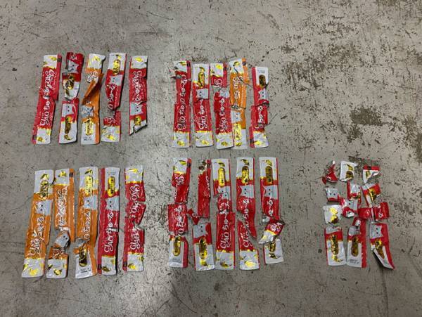 帰宅すると出迎えてくれるはずの犬が、ハウスから出てこない理由に「やめてもらいたい」