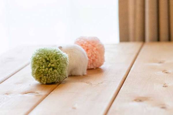 三色団子になるハムスター　とらえた４枚がかわいすぎると話題に！