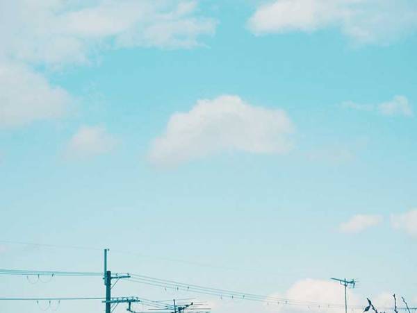 かわいい！月もお花見する『ふわふわの春』