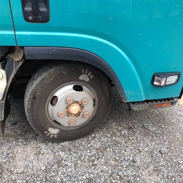 クロネコヤマトの宅急便、車のタイヤをよく見ると？　「かわいい」「知らなかった！」