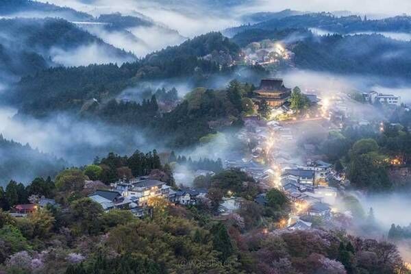 奈良県にある『桜雲海』　神様がいそうな４枚がこちら