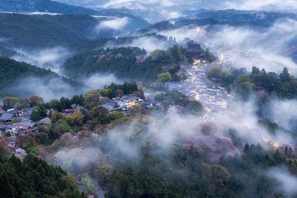 奈良県にある『桜雲海』　神様がいそうな４枚がこちら