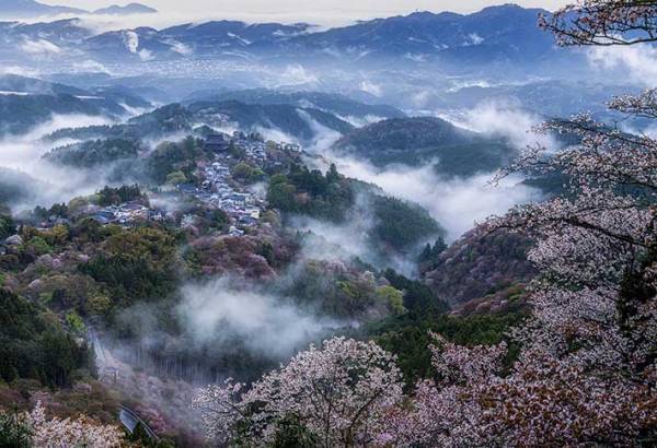 奈良県にある『桜雲海』　神様がいそうな４枚がこちら