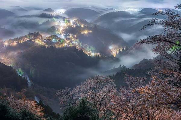 奈良県にある『桜雲海』　神様がいそうな４枚がこちら