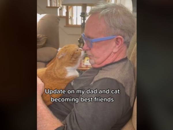 がんと闘う男性と暮らし始めた猫がとった行動に　「涙が出た」「最高の癒し」