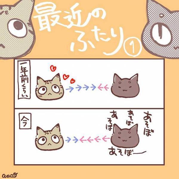 妹猫が大好きだった兄猫が、避けるようになり…　「ラストに胸がギュっとなる」