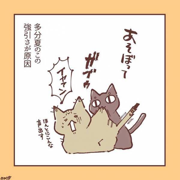妹猫が大好きだった兄猫が、避けるようになり…　「ラストに胸がギュっとなる」