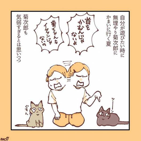 妹猫が大好きだった兄猫が、避けるようになり…　「ラストに胸がギュっとなる」