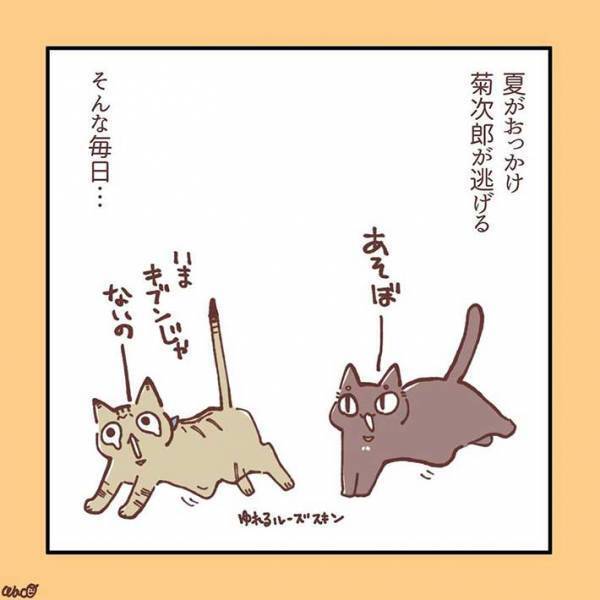 妹猫が大好きだった兄猫が、避けるようになり…　「ラストに胸がギュっとなる」