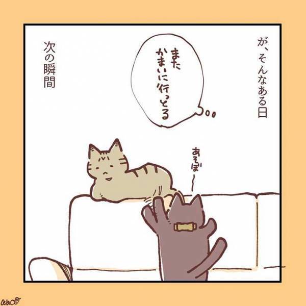 妹猫が大好きだった兄猫が、避けるようになり…　「ラストに胸がギュっとなる」