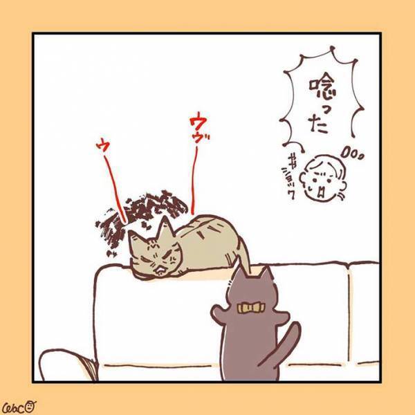 妹猫が大好きだった兄猫が、避けるようになり…　「ラストに胸がギュっとなる」