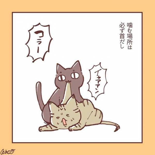 妹猫が大好きだった兄猫が、避けるようになり…　「ラストに胸がギュっとなる」