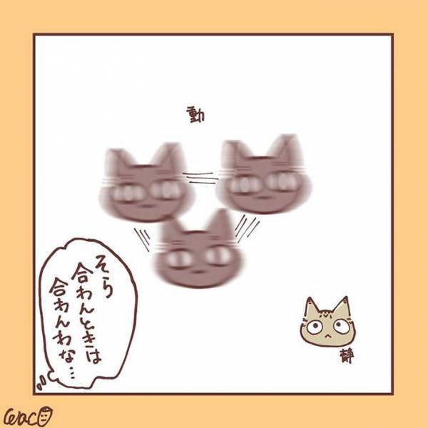 妹猫が大好きだった兄猫が、避けるようになり…　「ラストに胸がギュっとなる」