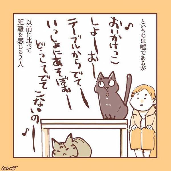 妹猫が大好きだった兄猫が、避けるようになり…　「ラストに胸がギュっとなる」