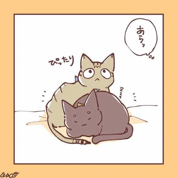 妹猫が大好きだった兄猫が、避けるようになり…　「ラストに胸がギュっとなる」