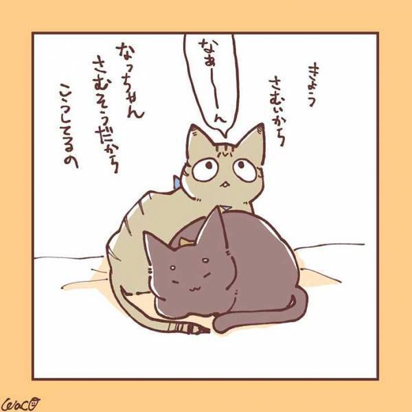 妹猫が大好きだった兄猫が、避けるようになり…　「ラストに胸がギュっとなる」