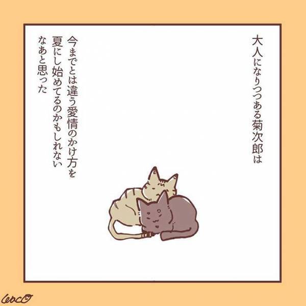 妹猫が大好きだった兄猫が、避けるようになり…　「ラストに胸がギュっとなる」