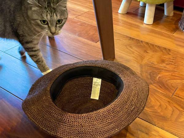 床に帽子を置いて何しているの？　その理由が分かるオチがこちらです