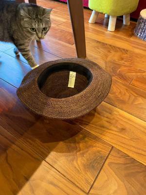 床に帽子を置いて何しているの？　その理由が分かるオチがこちらです