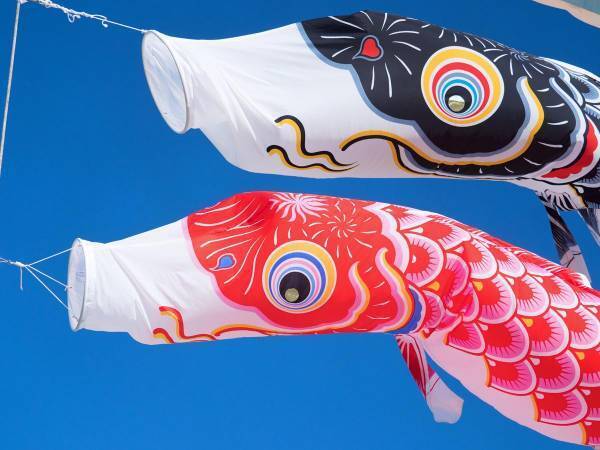 新芽や新緑が爽風を受けて、色鮮やかに自己表現を始める五月