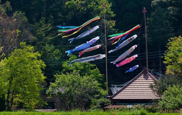 新芽や新緑が爽風を受けて、色鮮やかに自己表現を始める五月
