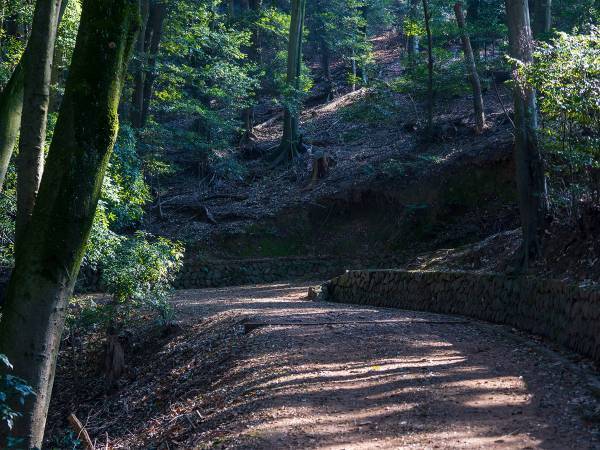 山で遭難した時、ヘリに気付いてもらうためには？　警視庁が教える『シグナル』に反響