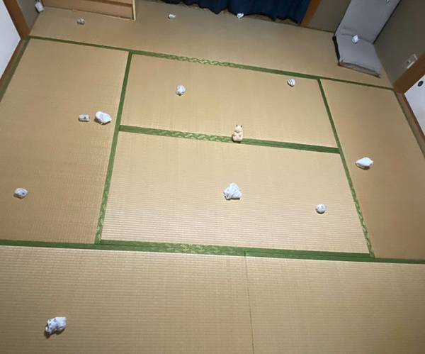 「まじで分からない」「難しすぎ」　写真に紛れるハムスターを探すツイートにネットざわつく