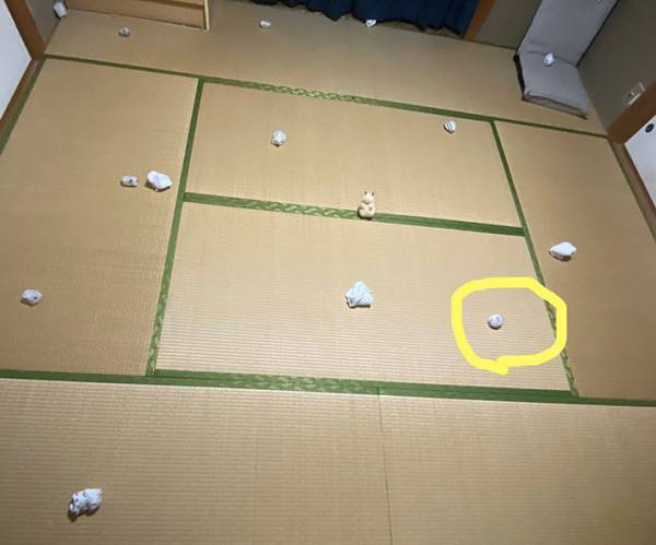 「まじで分からない」「難しすぎ」　写真に紛れるハムスターを探すツイートにネットざわつく