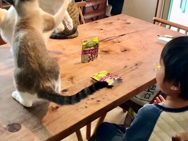 息子「おやつくらいゆっくり食べさせてよ」　母親が大笑いした光景とは