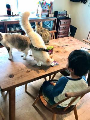 息子「おやつくらいゆっくり食べさせてよ」　母親が大笑いした光景とは