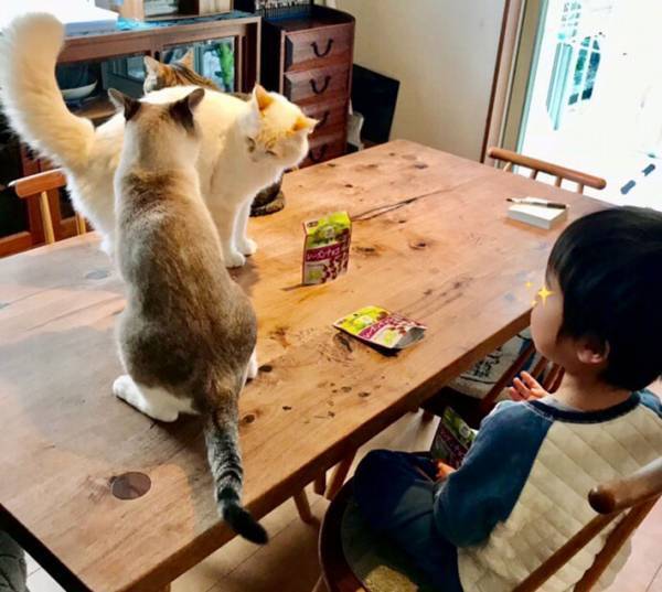 息子「おやつくらいゆっくり食べさせてよ」　母親が大笑いした光景とは