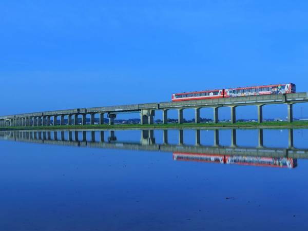 田んぼが作り出す絶景に「ただただ美しい」の声　少しの期間しか見られない光景とは
